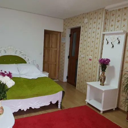 Pensiune Domeniul Regal *